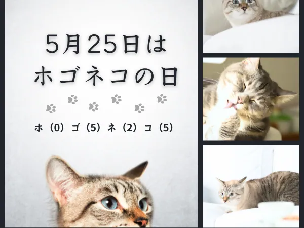 5月25日はホゴネコの日！家族を待つ保護猫たちから学ぶ命をいつくしむこと